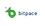Bitpace